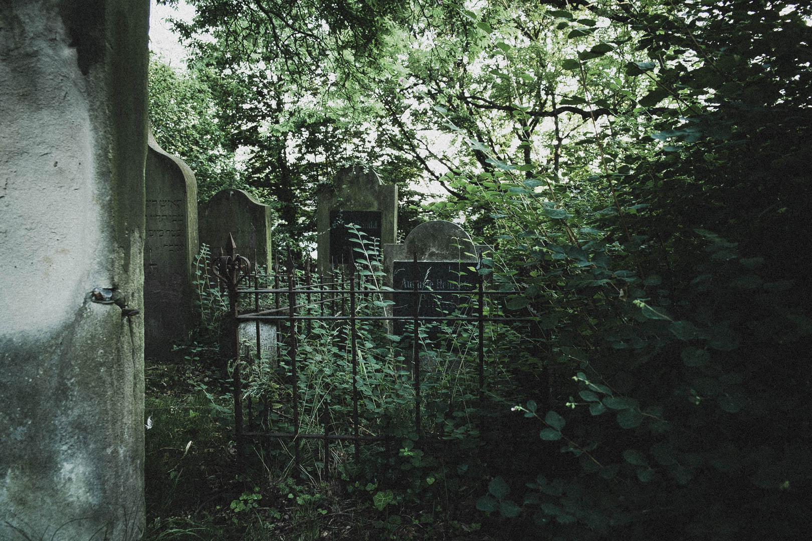 Jüdischer Friedhof Kassel-Bettenhausen